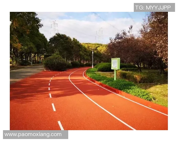 竞技体育的定义、发展与影响力分析：从竞技赛事到全民健身的全景探讨