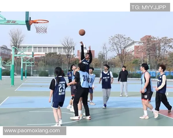 重庆篮球队实力分析与发展前景探讨篮球运动的未来之路