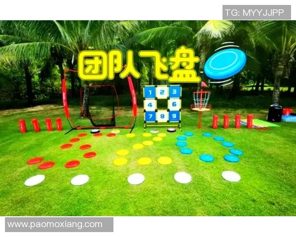 南京飞盘队节奏之争引发热议球迷与专家各执己见探讨飞盘运动发展